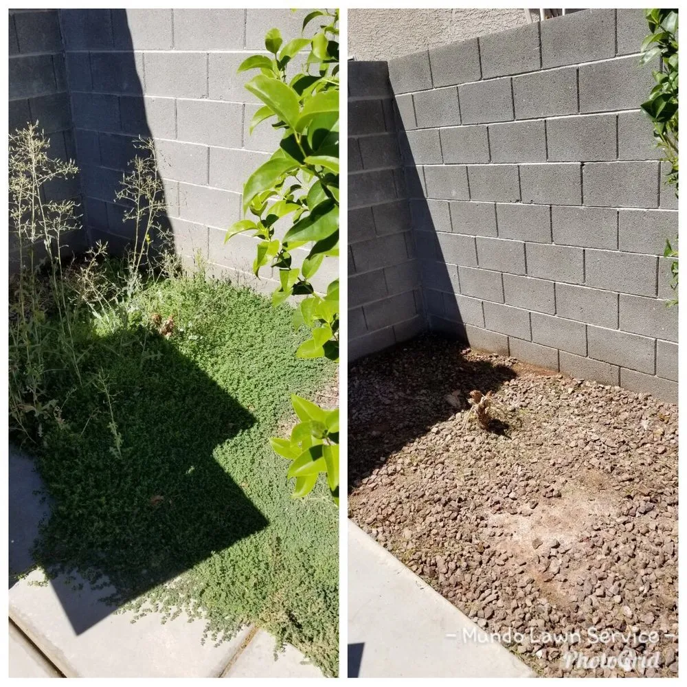 Local yard cleanup service for residential properties in North Las Vegas, NV by Mundo Lawn Service