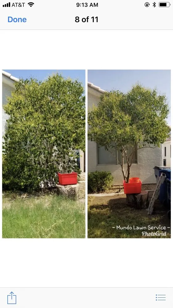 Affordable landscape installation in North Las Vegas, NV - Mundo Lawn Service