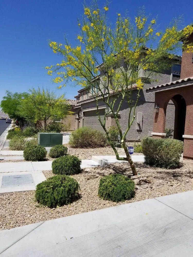 Top-rated landscape design in North Las Vegas, NV by Mundo Lawn Service