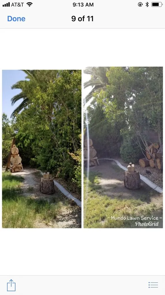 Trusted yard cleanup service in North Las Vegas, NV - Mundo Lawn Service