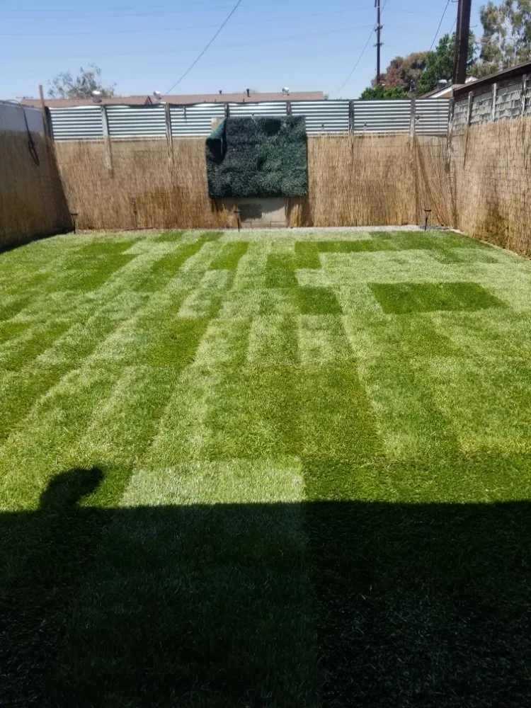 Professional lawn mowing service with custom design across El Monte, CA - Mundo Verde