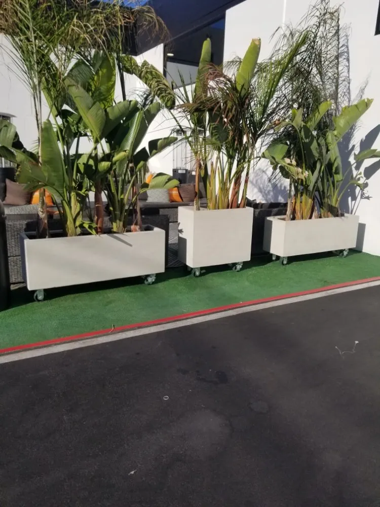 Trusted landscaping services experts serving El Monte, CA - Mundo Verde