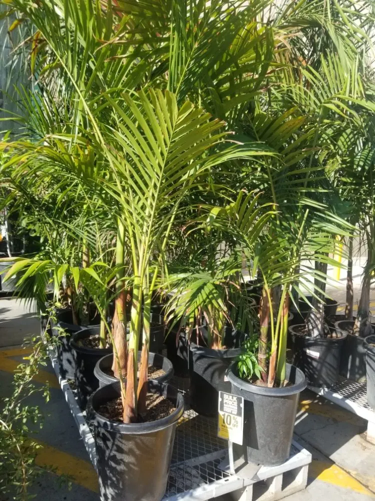 Expert landscape design experts serving El Monte, CA - Mundo Verde