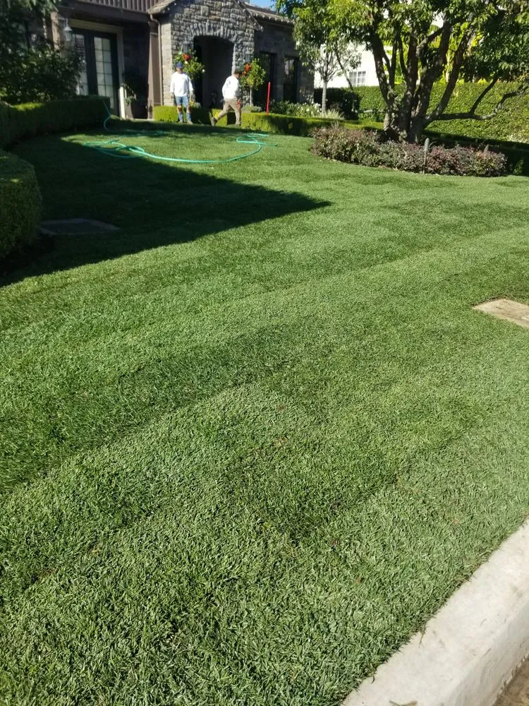 Top-rated lawn mowing service in El Monte, CA by Mundo Verde