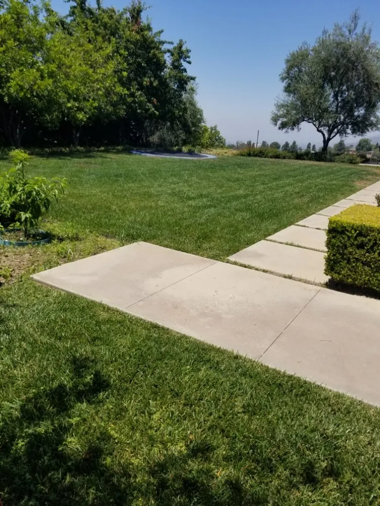 Trusted lawn care service for residential properties in El Monte, CA by Mundo Verde