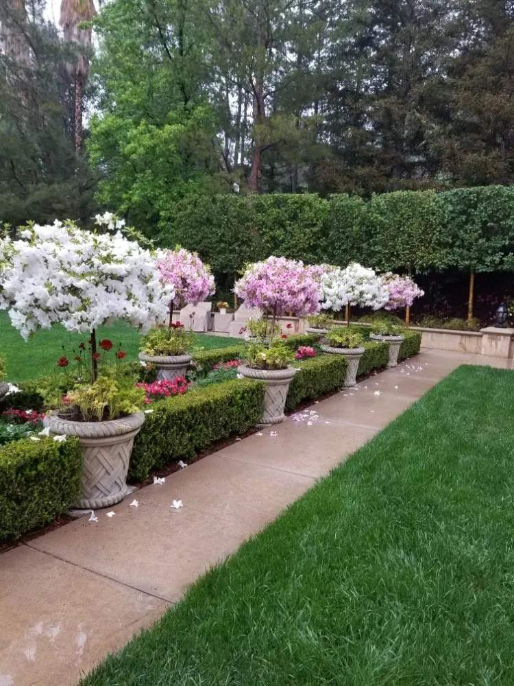 Expert outdoor landscaping experts serving El Monte, CA - Mundo Verde
