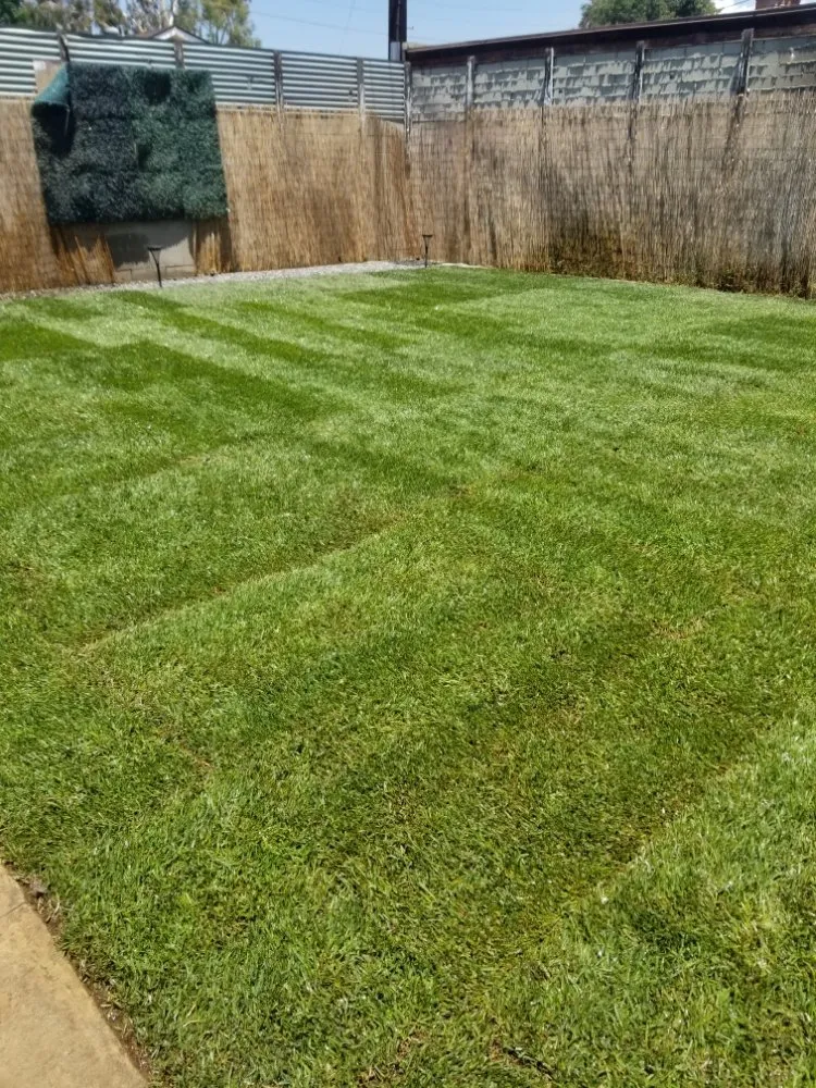 Custom yard cleanup service in El Monte, CA - Mundo Verde