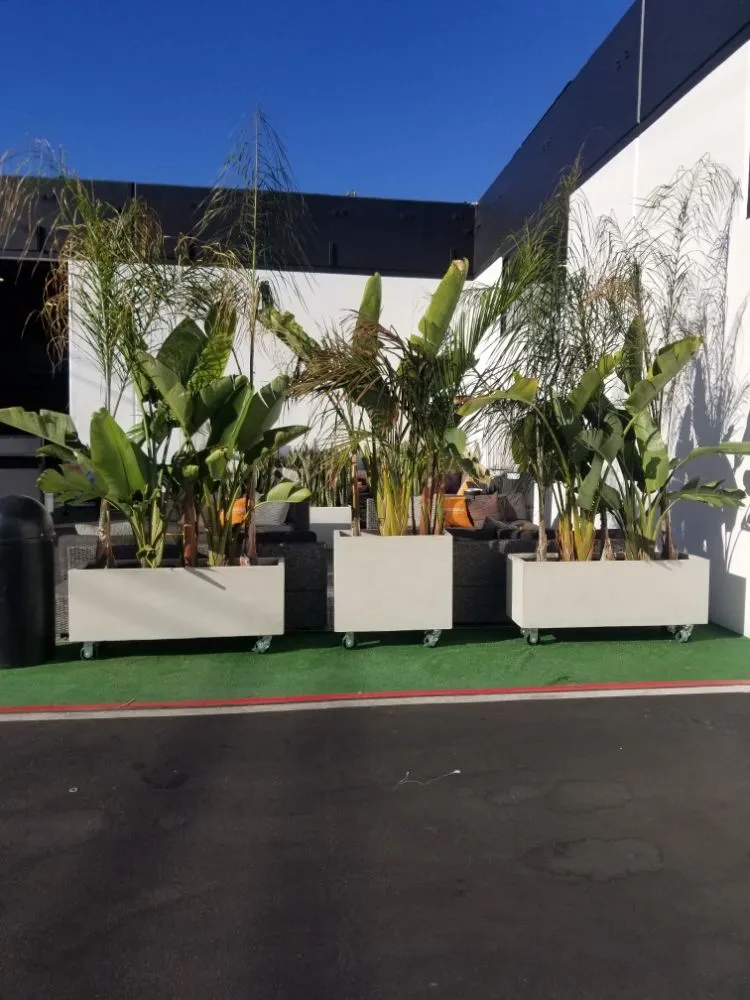 Professional lawn mowing service experts serving El Monte, CA - Mundo Verde