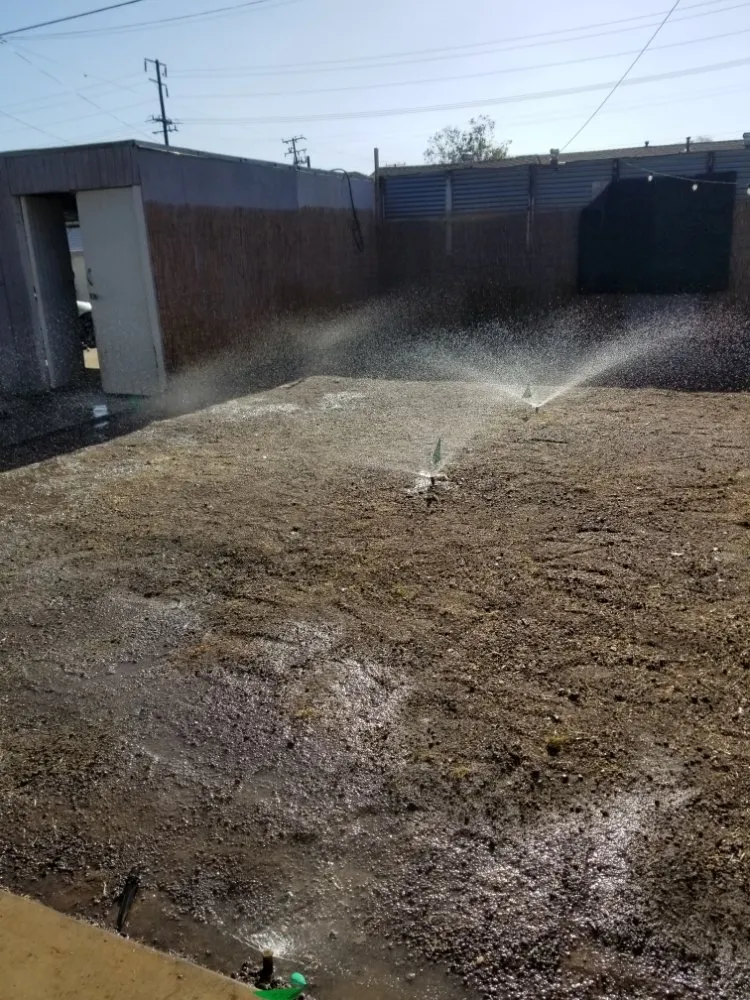 Local lawn care service in El Monte, CA by Mundo Verde