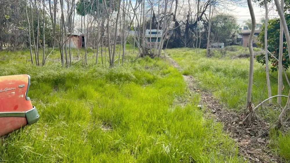 Affordable landscape design in El Monte, CA - Mundo Verde