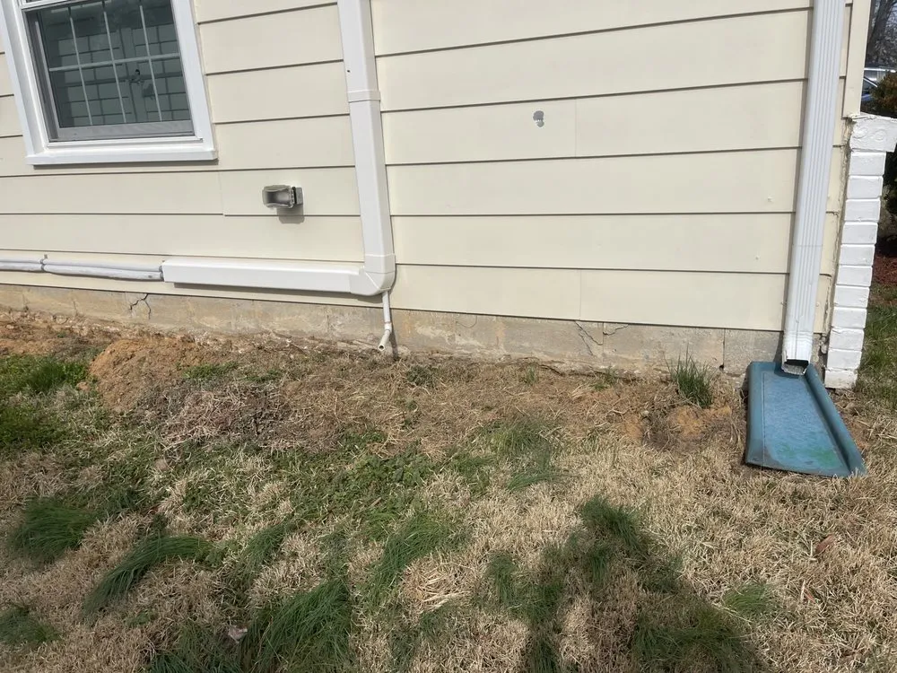 Top-rated yard cleanup service in Landover Hills, MD by Mundo Verde