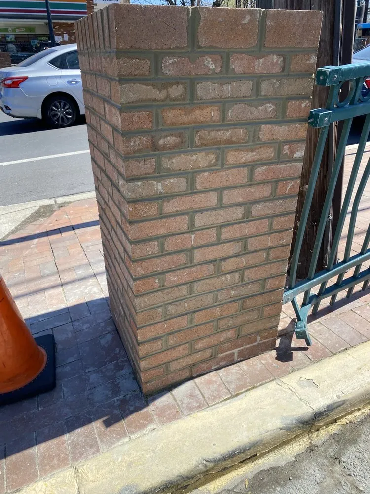 Reliable yard cleanup service in Landover Hills, MD - Mundo Verde