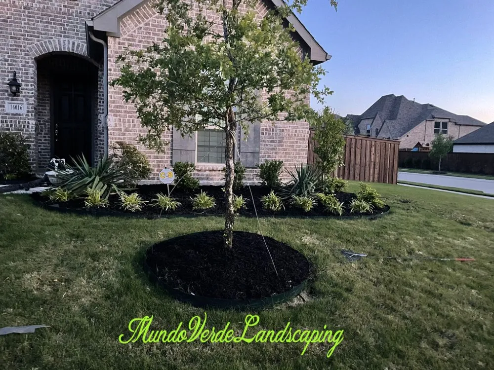 Local outdoor landscaping experts serving Allen, TX - Mundo Verde Landscaping