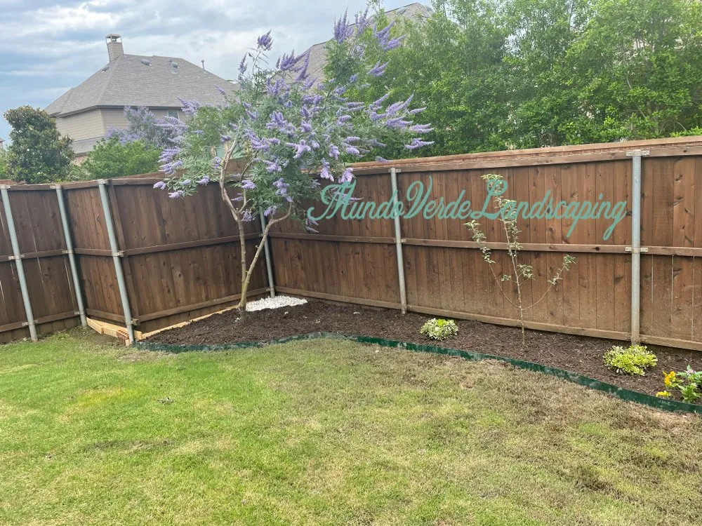 Professional outdoor landscaping for year-round maintenance across Allen, TX - Mundo Verde Landscaping