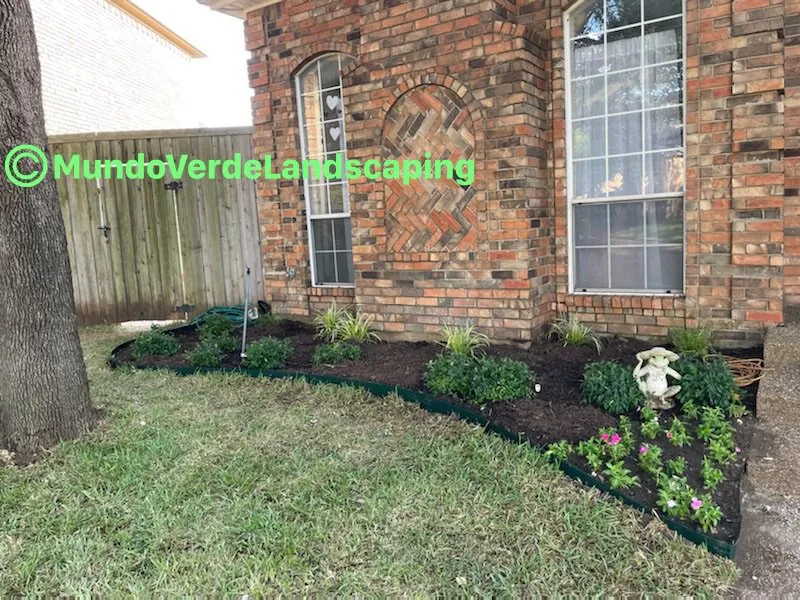 Trusted yard cleanup service for outdoor upgrades across Allen, TX - Mundo Verde Landscaping