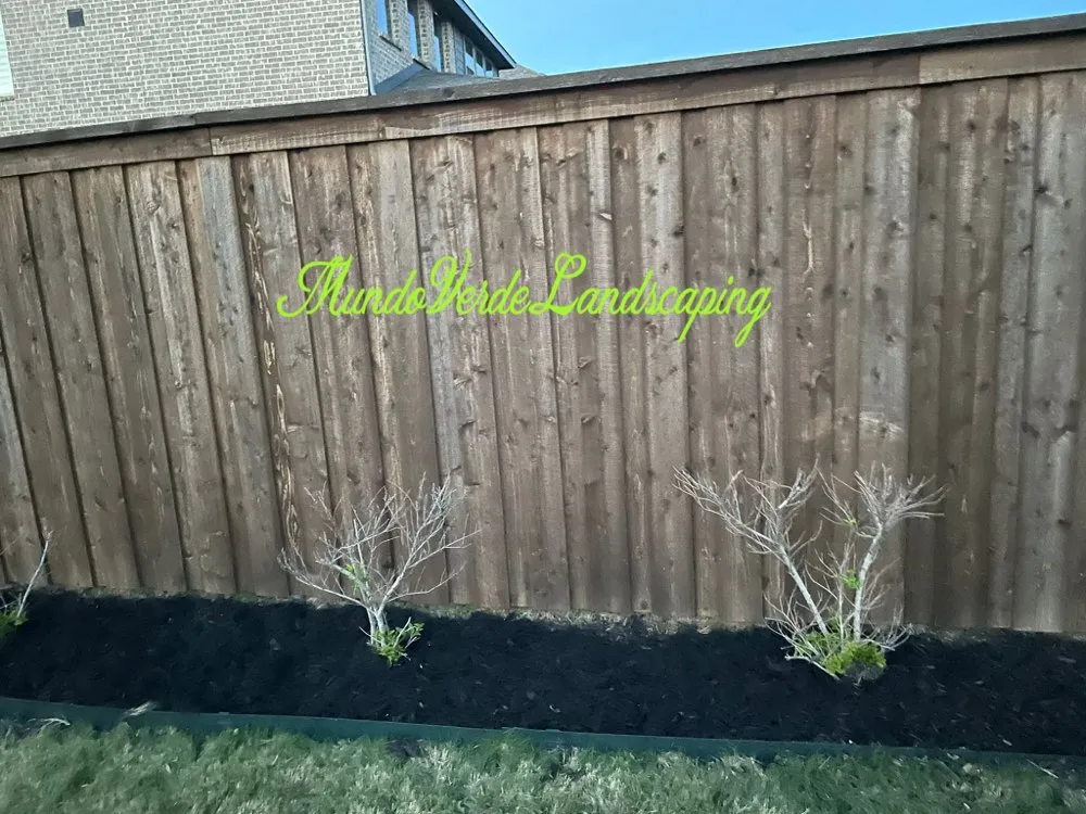 Affordable lawn mowing service experts serving Allen, TX - Mundo Verde Landscaping