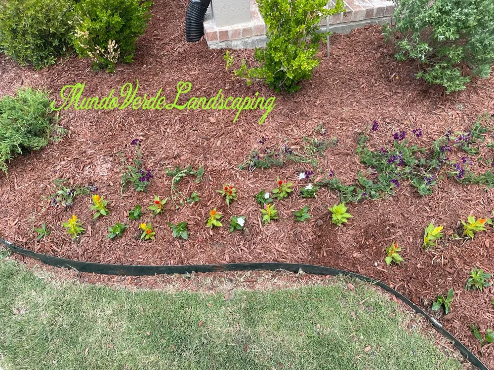Top-rated landscape design in Allen, TX by Mundo Verde Landscaping