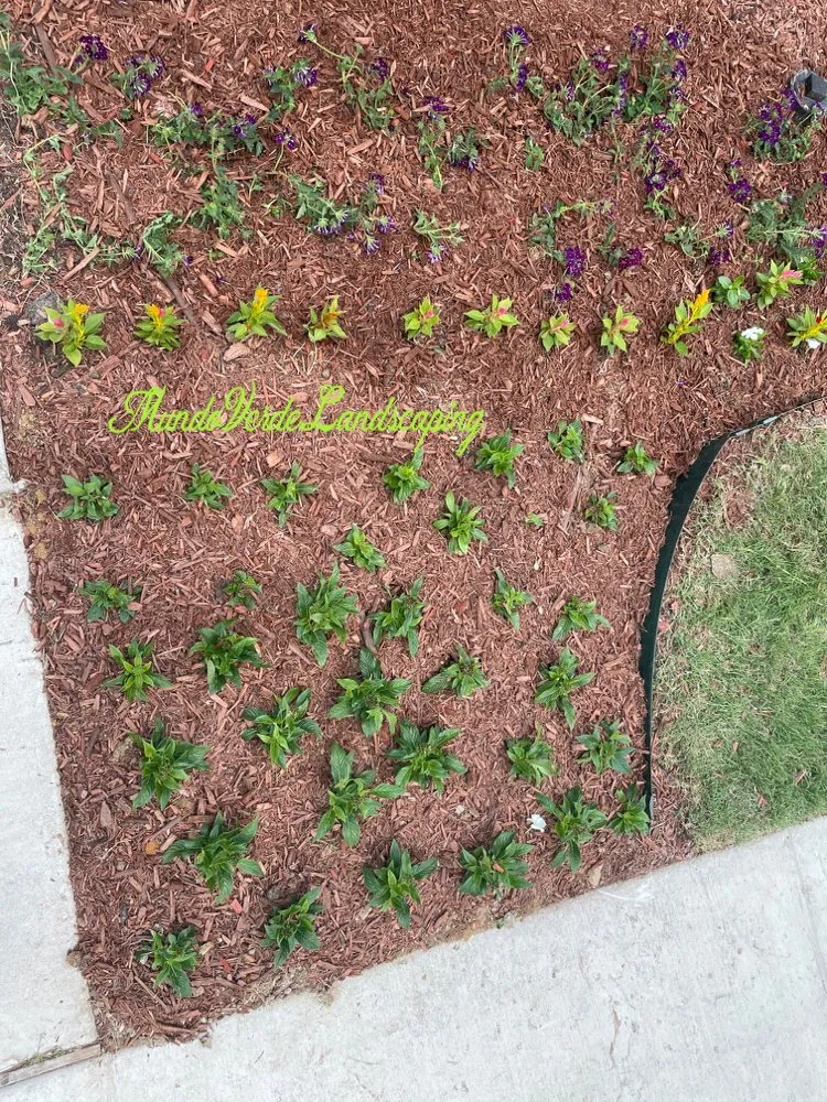 Custom residential landscaping in Allen, TX - Mundo Verde Landscaping