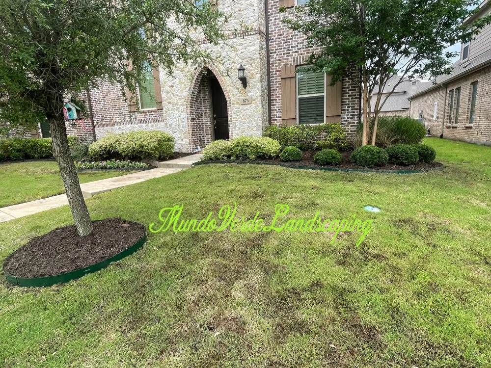 Expert garden landscaping in Allen, TX - Mundo Verde Landscaping