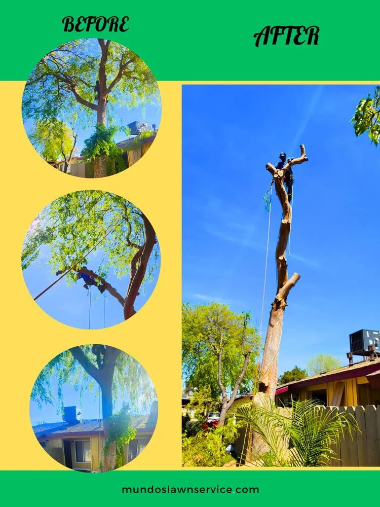 Local outdoor landscaping for homes in Fresno, CA by Mundos Landscaping & Demolition