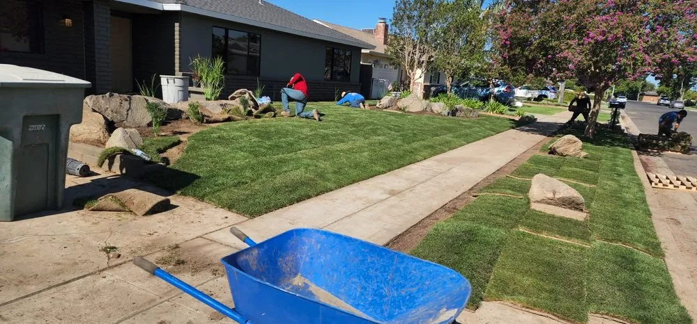 Trusted landscaping services experts serving Fresno, CA - Mundos Landscaping & Demolition