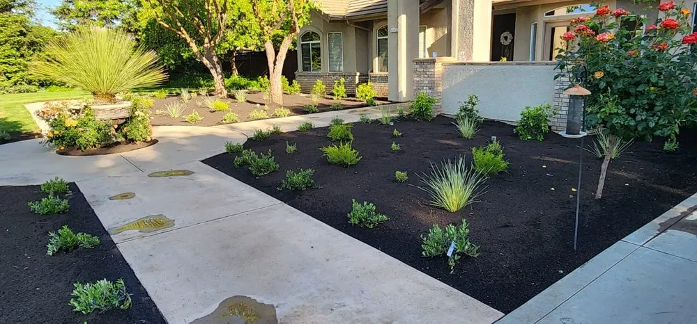 Affordable yard maintenance in Fresno, CA - Mundos Landscaping & Demolition