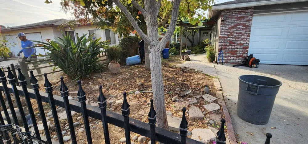 Local landscape installation for outdoor upgrades across Fresno, CA - Mundos Landscaping & Demolition