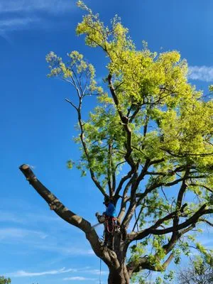 Mundos Landscaping & Demolition Logo