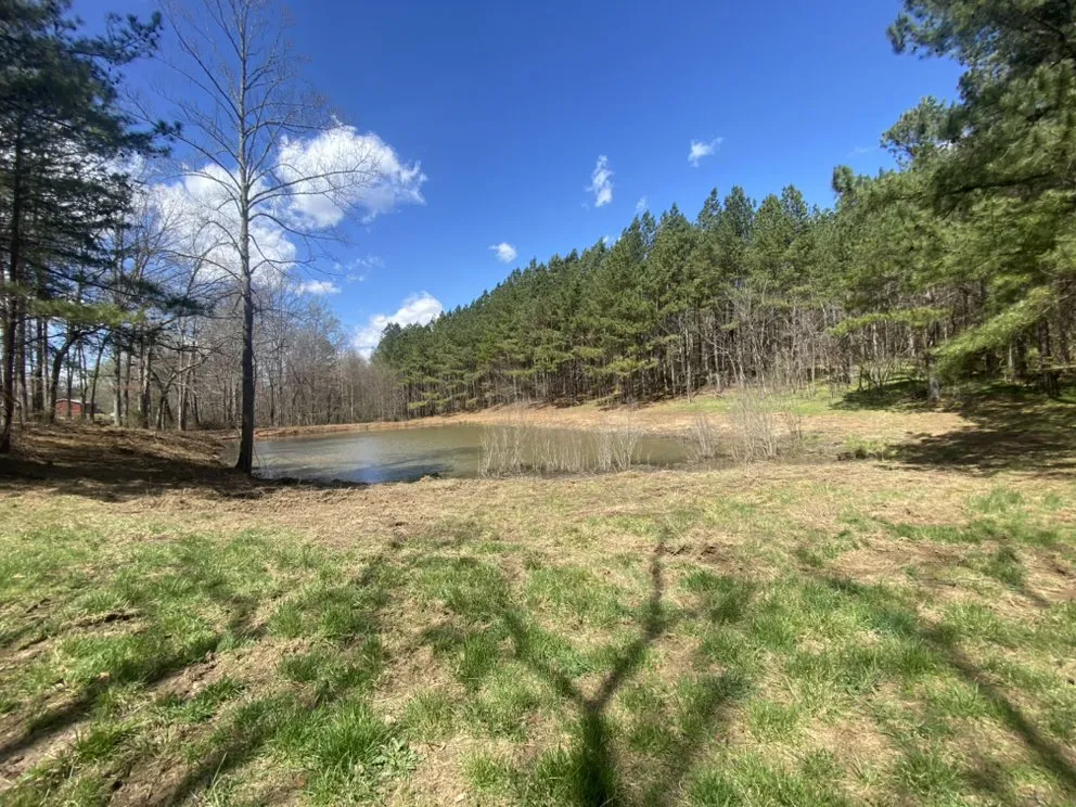 Expert yard maintenance near you in Taylorsville, NC by Mundy Property Solutions