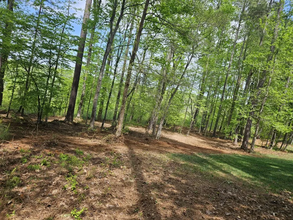 Custom lawn mowing service for beautiful yards across Taylorsville, NC - Mundy Property Solutions