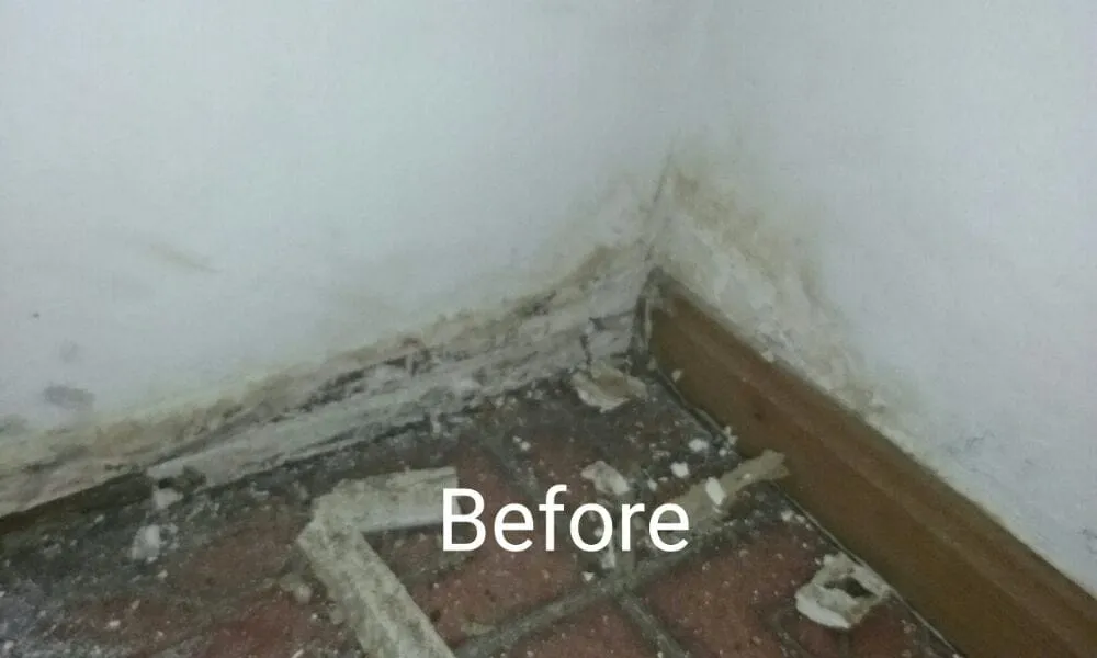 Top-rated garden landscaping in East Palo Alto, CA - Munguia's Landscaping & Handyman