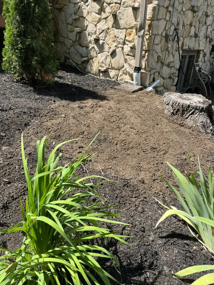 Trusted lawn mowing service experts serving Indianapolis, IN - Munguia’s Tree Services & landscaping