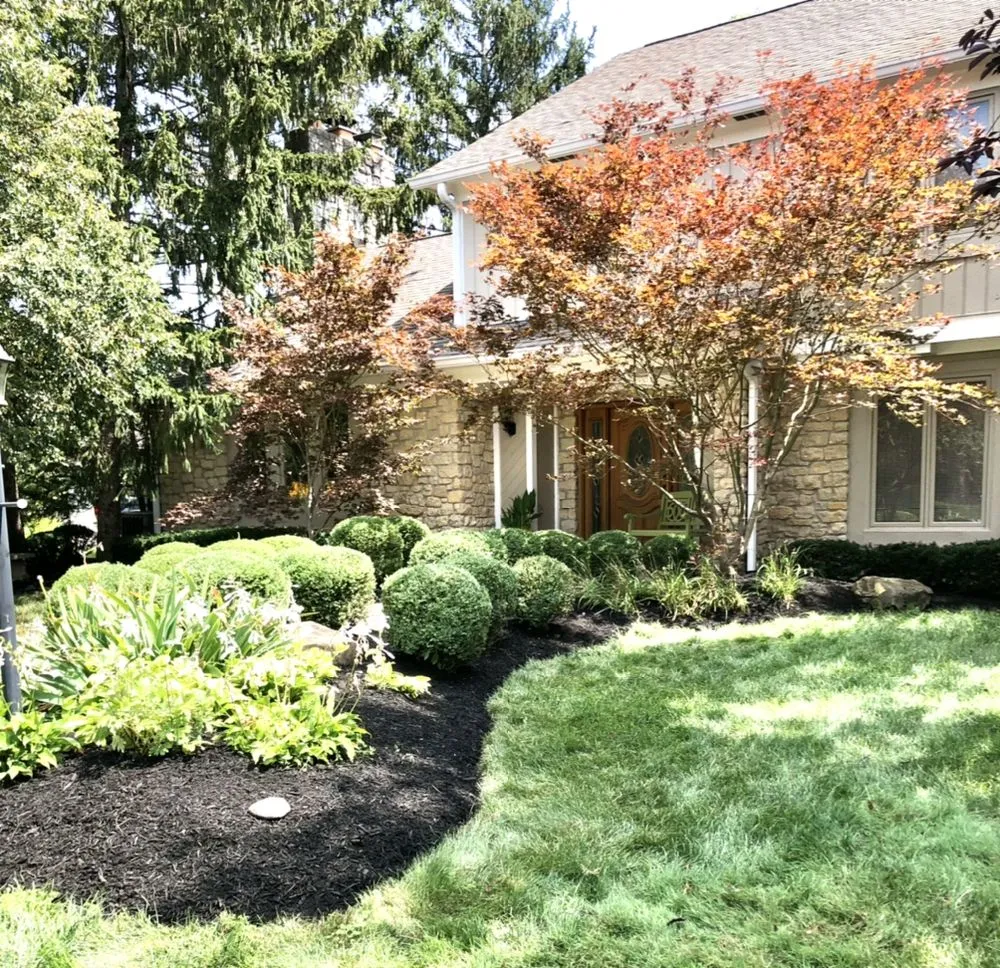 Expert lawn care service in Indianapolis, IN by Munguia’s Tree Services & landscaping