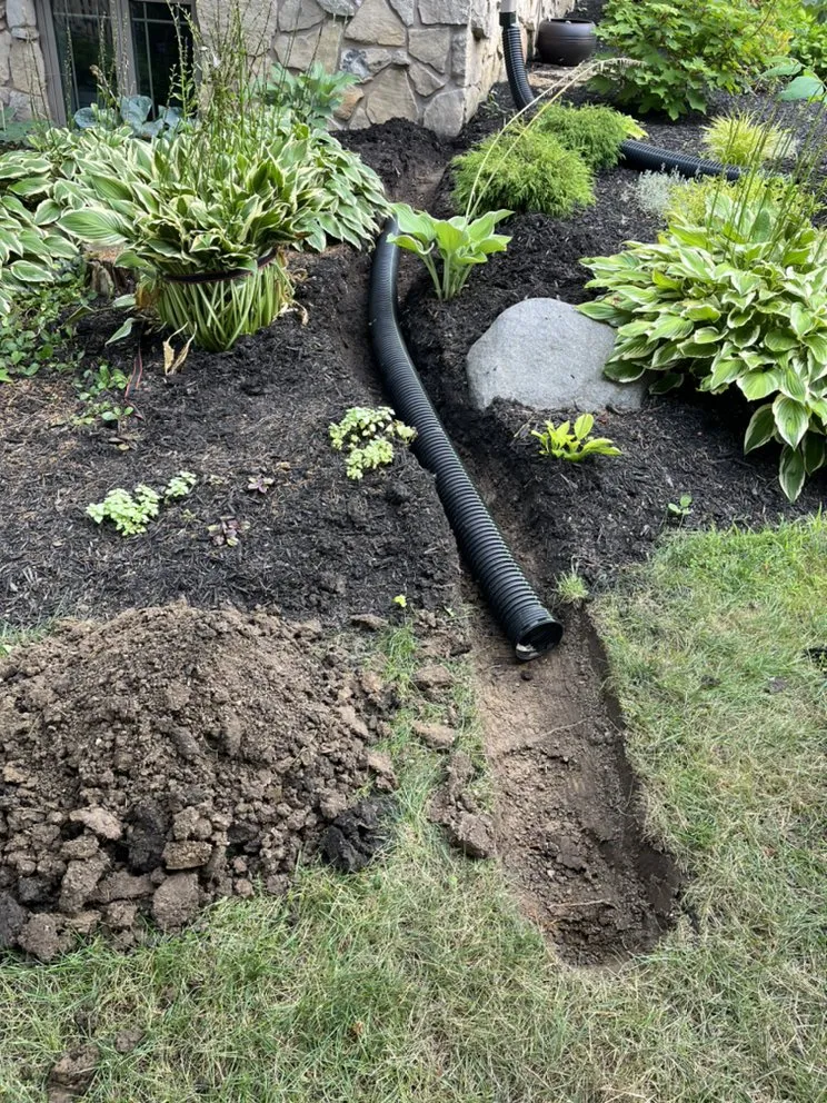 Reliable lawn care service for beautiful yards across Indianapolis, IN - Munguia’s Tree Services & landscaping