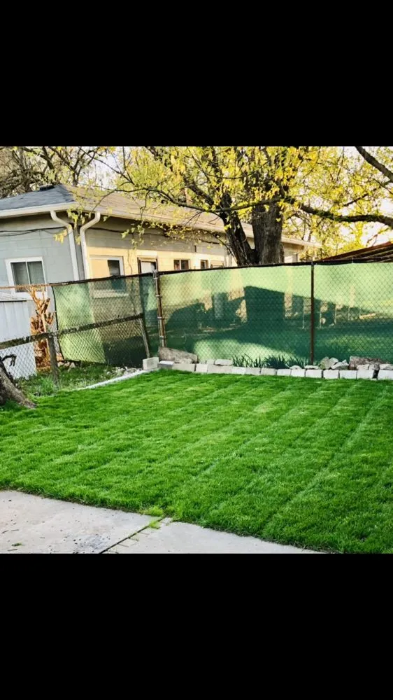 Custom lawn care service for beautiful yards in Indianapolis, IN by Munguia’s Tree Services & landscaping