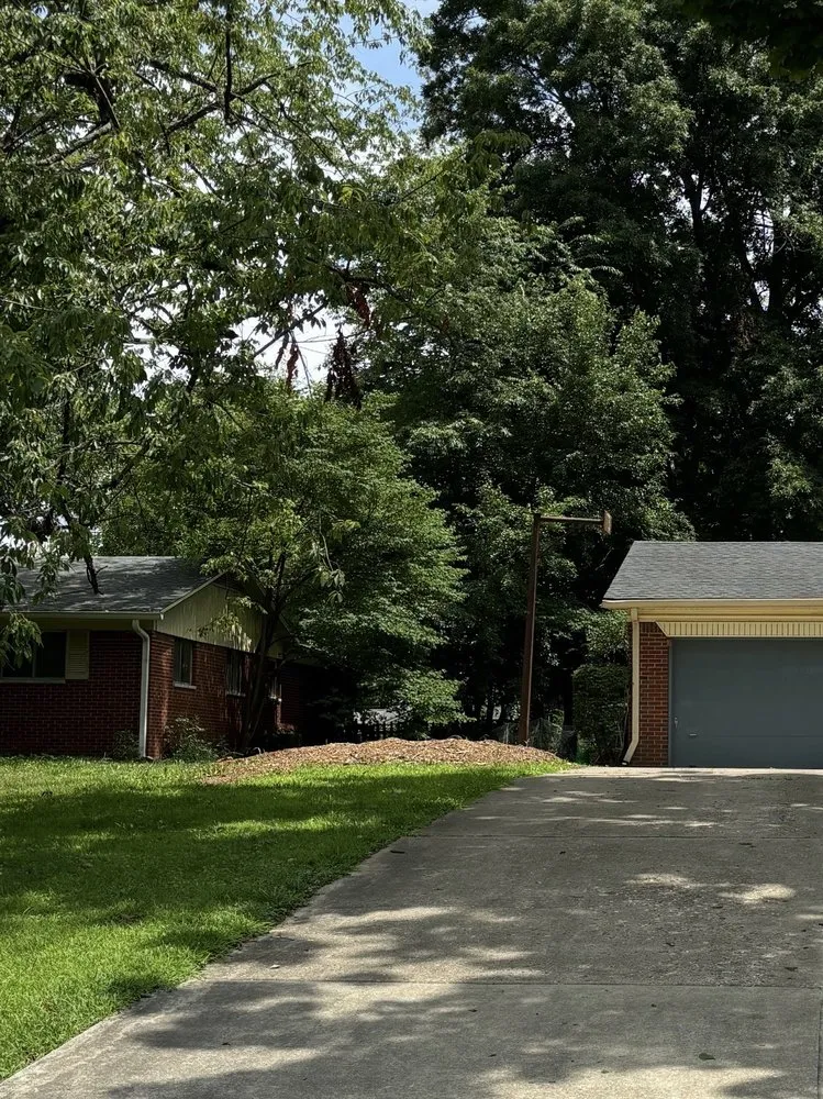 Top-rated yard cleanup service experts serving Indianapolis, IN - Munguia’s Tree Services & landscaping