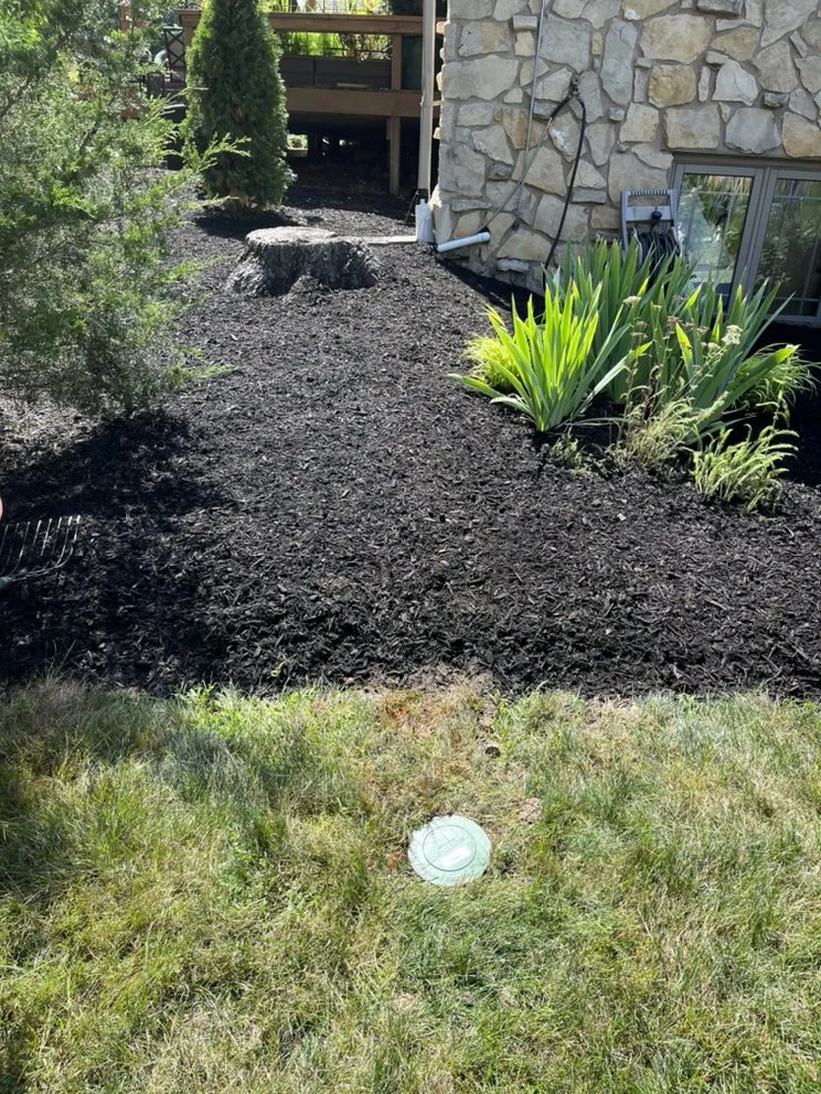 Affordable lawn care service in Indianapolis, IN by Munguia’s Tree Services & landscaping