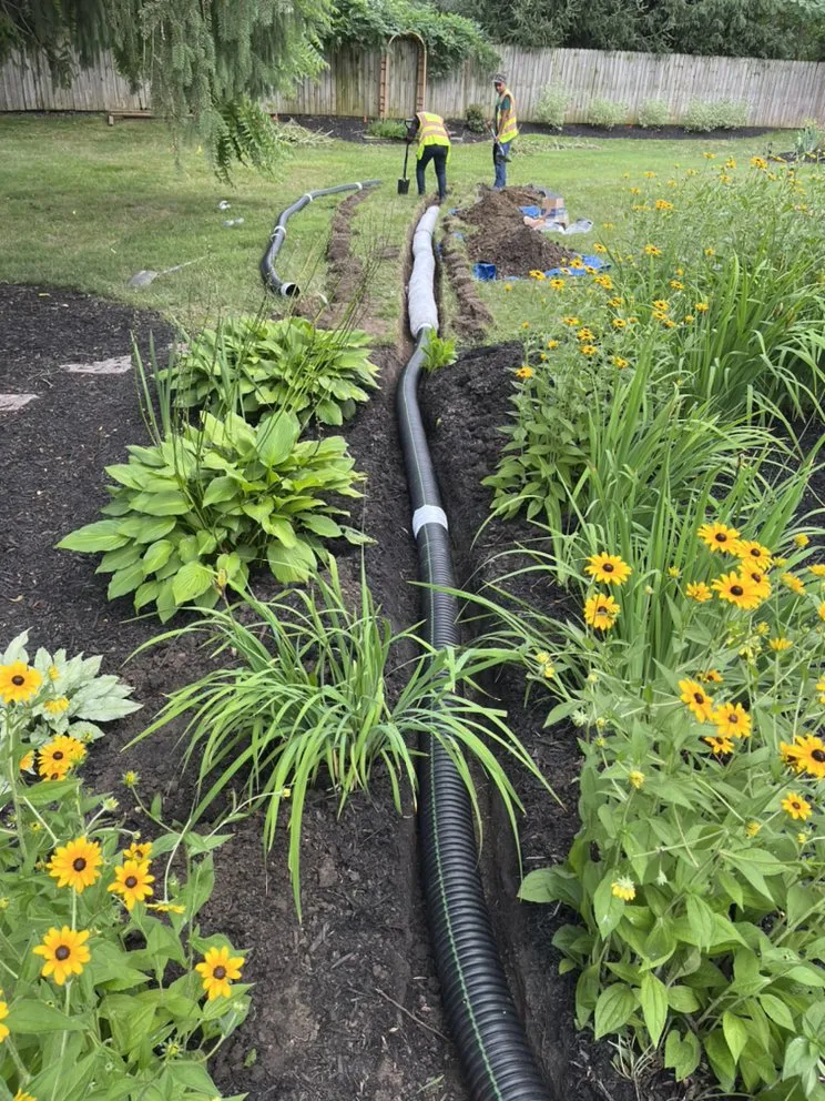 Trusted yard cleanup service in Indianapolis, IN - Munguia’s Tree Services & landscaping