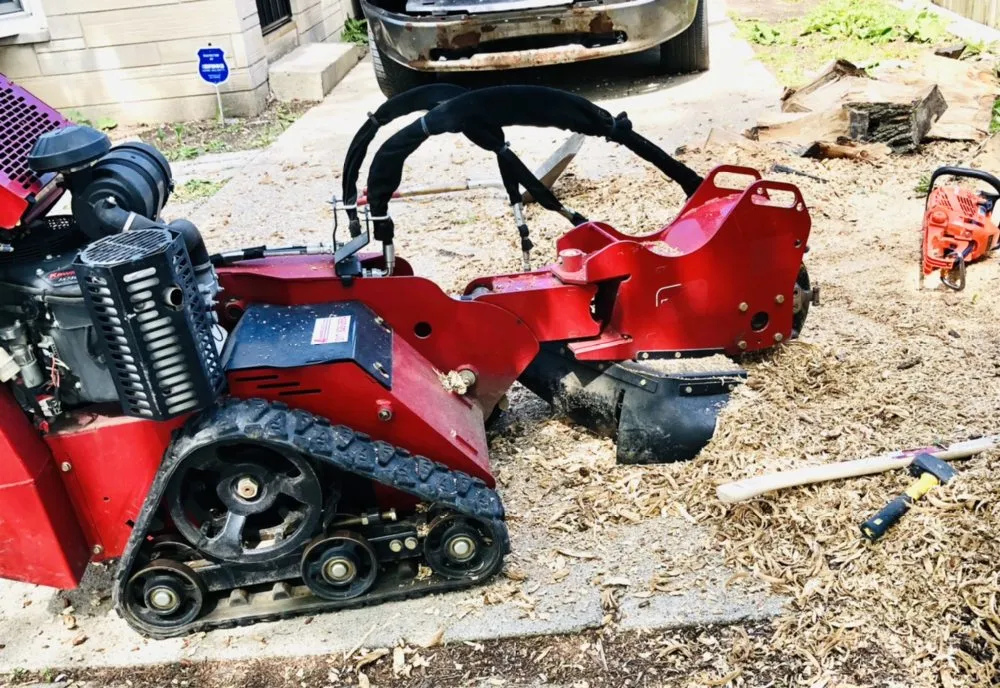 Affordable landscaping services experts serving Indianapolis, IN - Munguia’s Tree Services & landscaping