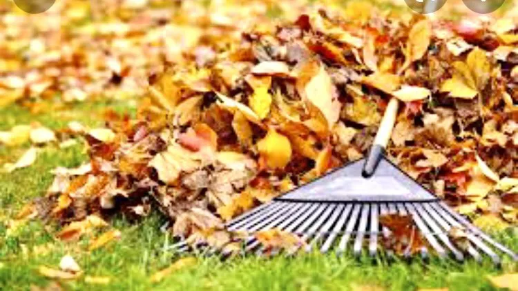 Affordable residential landscaping for outdoor upgrades across Indianapolis, IN - Munguia’s Tree Services & landscaping