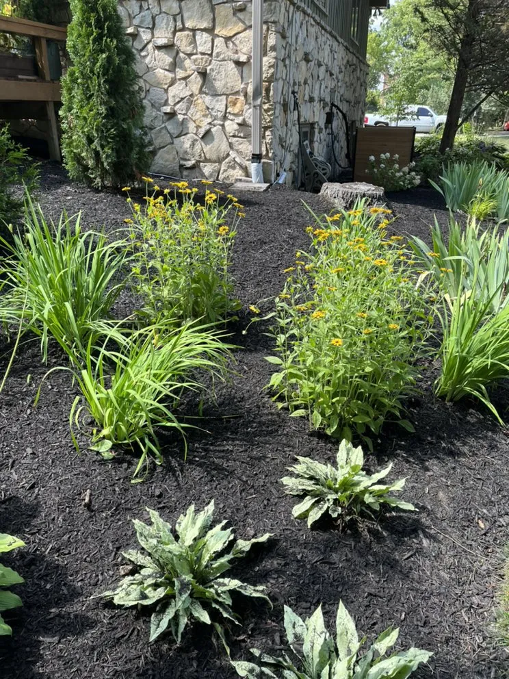 Top-rated residential landscaping in Indianapolis, IN - Munguia’s Tree Services & landscaping