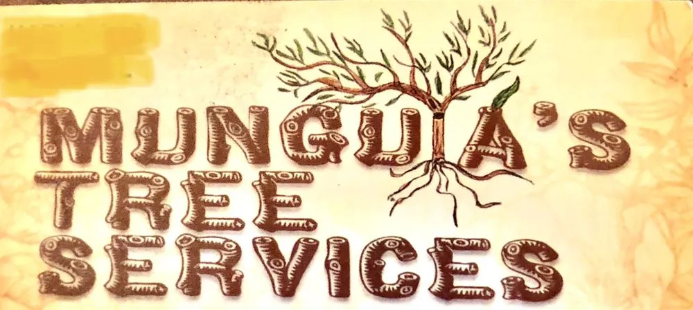 Local landscaping services for year-round maintenance across Indianapolis, IN - Munguia’s Tree Services & landscaping