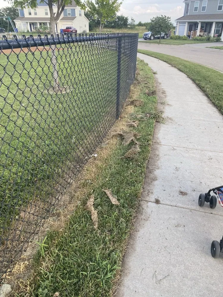 Local landscaping services in Caseyville, IL - Munie Greencare Professionals