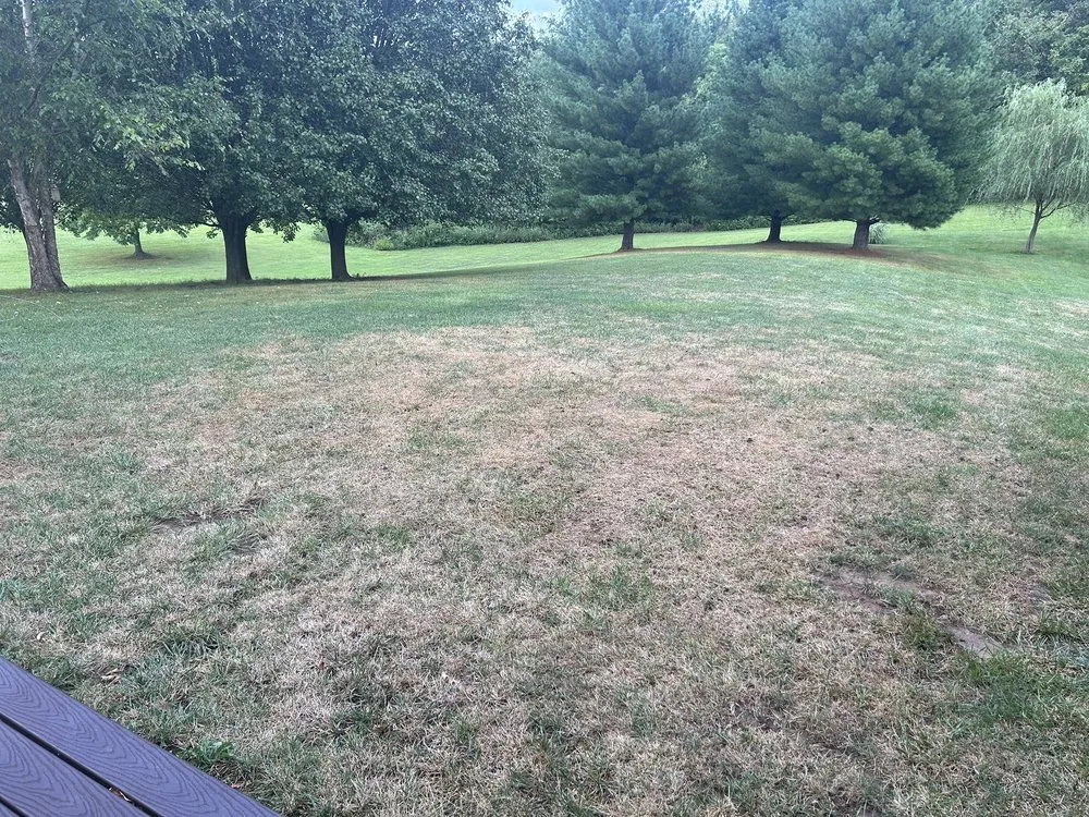 Expert landscaping services in Caseyville, IL by Munie Greencare Professionals