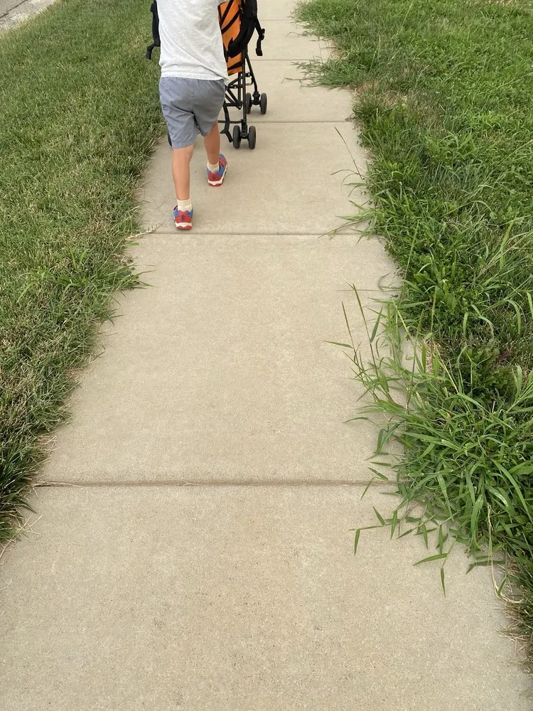 Professional yard cleanup service experts serving Caseyville, IL - Munie Greencare Professionals