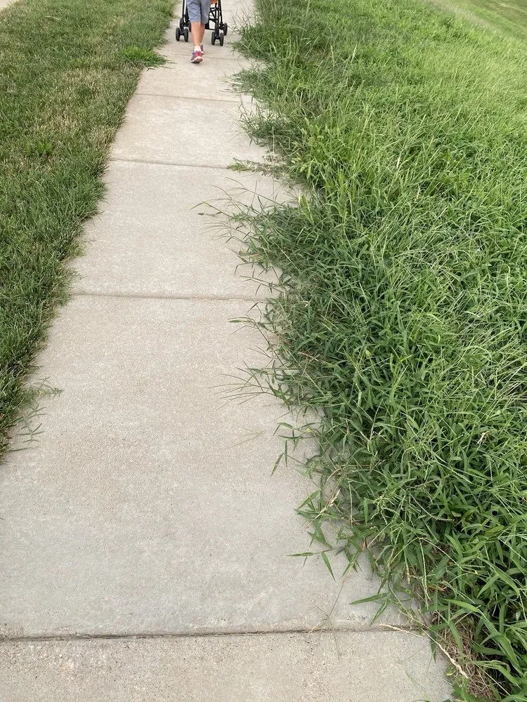 Professional landscape design in Caseyville, IL - Munie Greencare Professionals