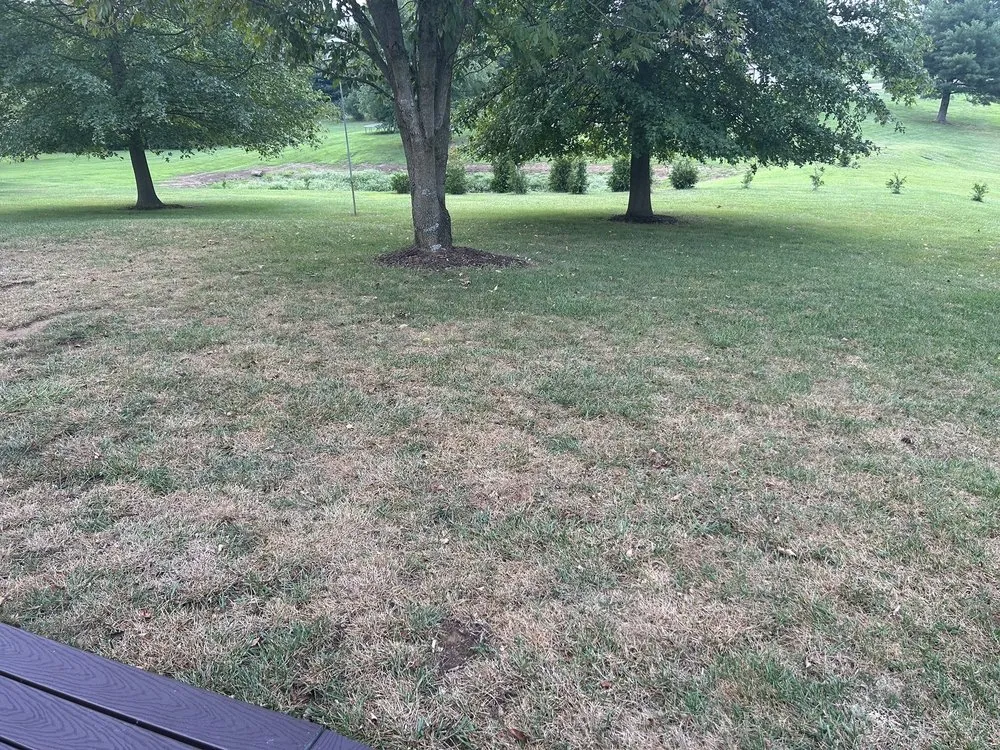 Top-rated outdoor landscaping in Caseyville, IL by Munie Greencare Professionals