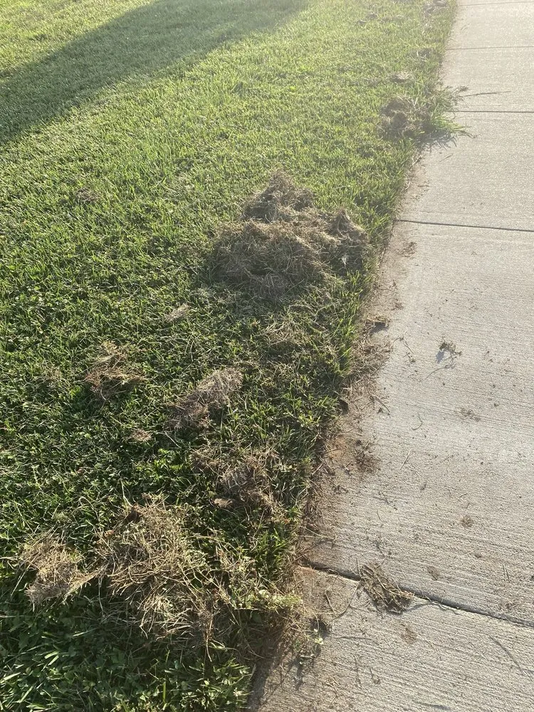 Local lawn mowing service near you in Caseyville, IL by Munie Greencare Professionals