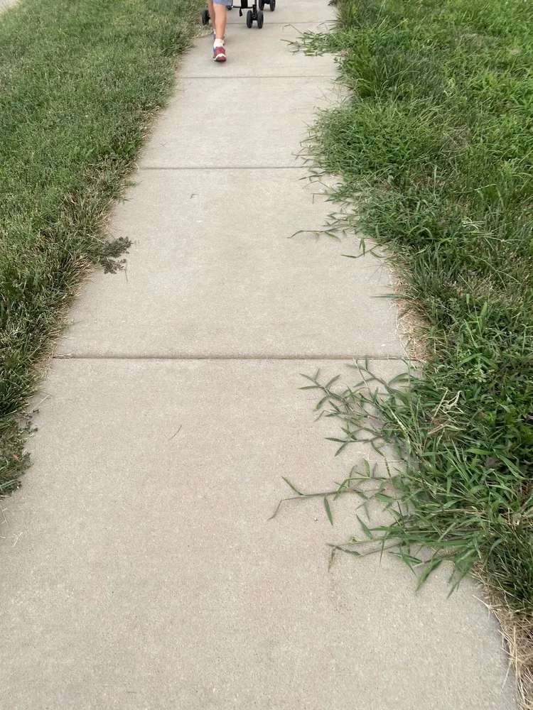 Local landscape design in Caseyville, IL - Munie Greencare Professionals