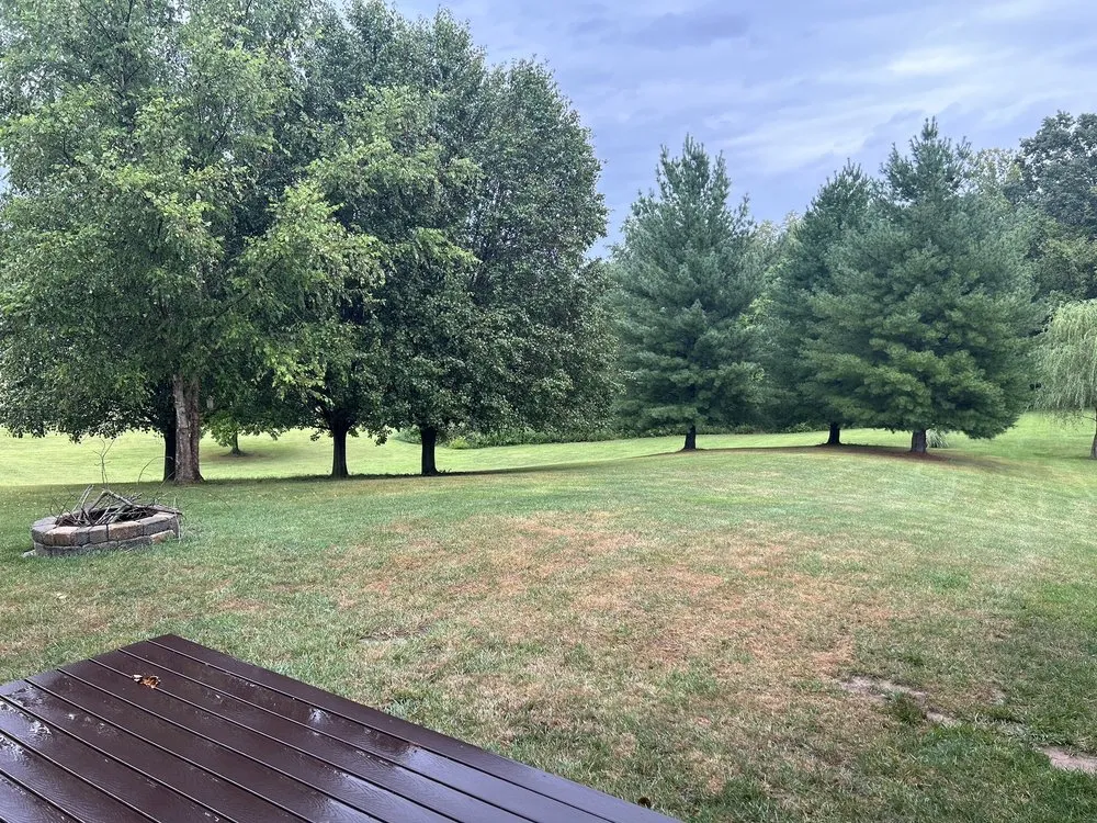 Custom yard cleanup service in Caseyville, IL by Munie Greencare Professionals